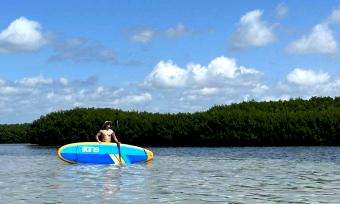SUP Connect: Paddleboarding West Coast Florida