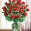 rosebaby