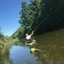 Naturally_Wild