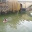 timmaykayak