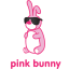 duracell bunny