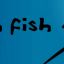 fresh fish clothing