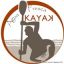 Kayak Agua Fresca
