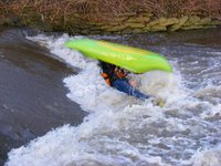 Wiesenwehr Rodeo