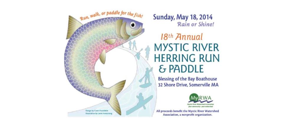 Mystic River Herring Run and Paddle 