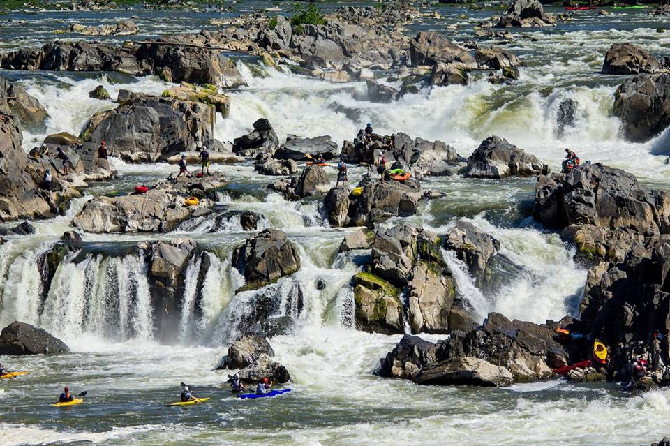 The Great Falls Race and Potomac Festival