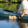 Predator - 9423_FishingwithPredatorKayakFishingHandPaddle501x283_1285660948