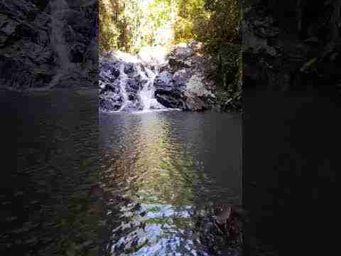 Cougal cascades track 1st waterfalls #Lamington National Park #waterfall #Springbrook National Park